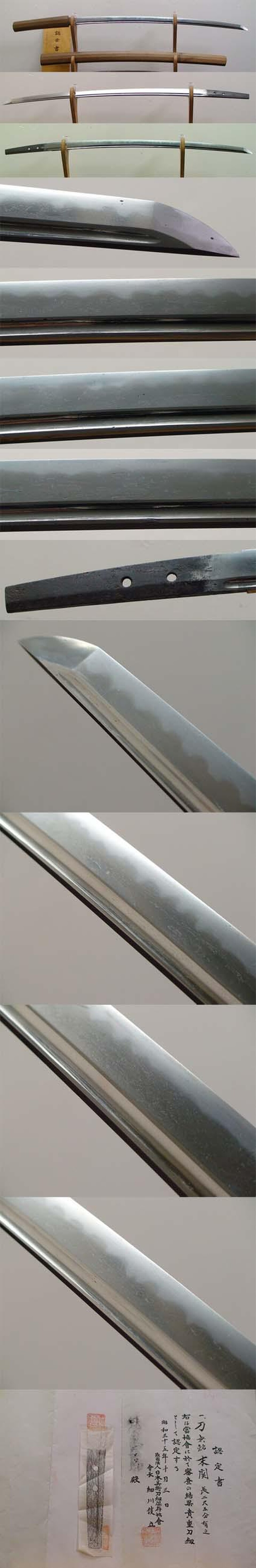 596 Blade
