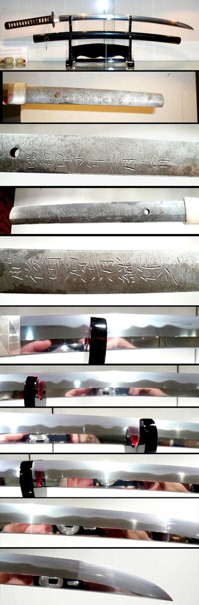 601 Blade