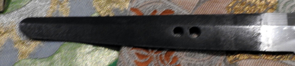 DSCN5389