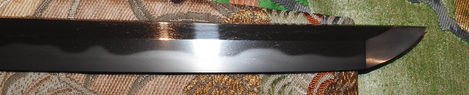 DSCN5400
