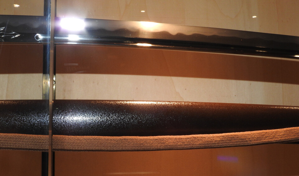 DSCN5415