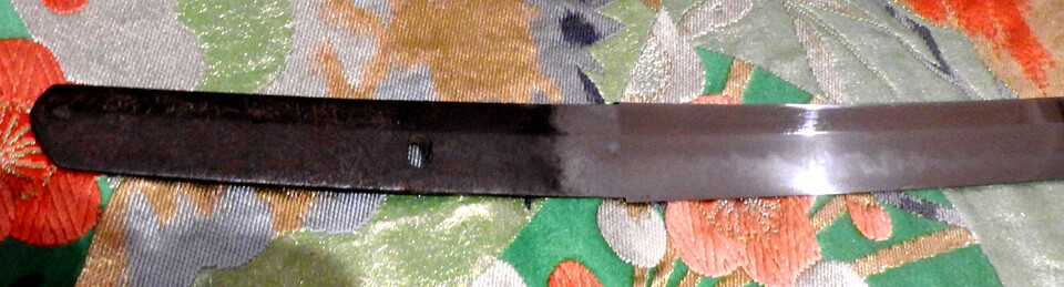 DSCN5500