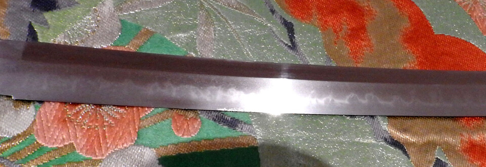DSCN5502