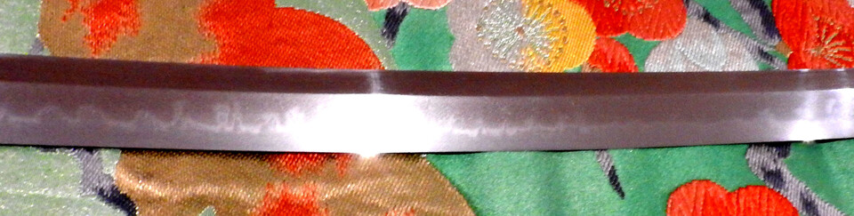 DSCN5503