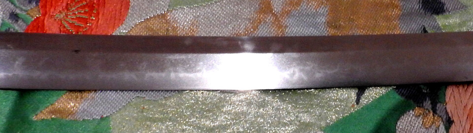 DSCN5505