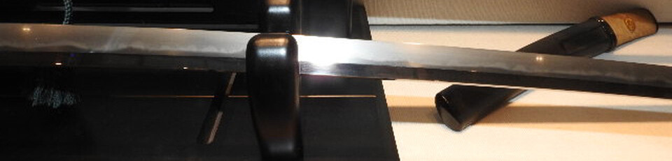 DSCN5579