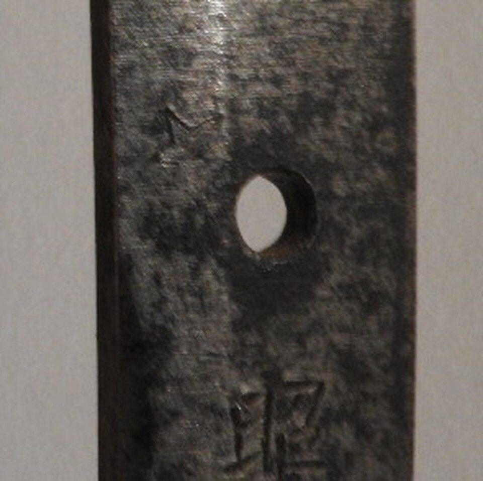 DSCN5717