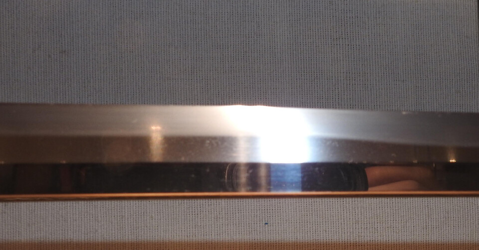 DSCN6155