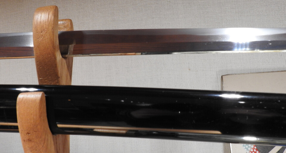 DSCN6416