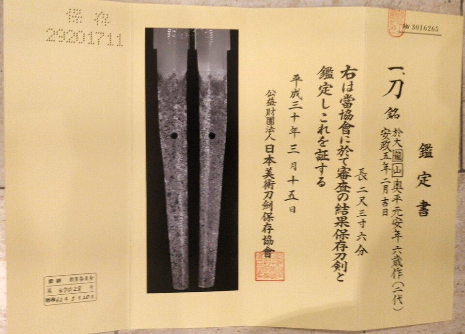 IMG 20250224 163633