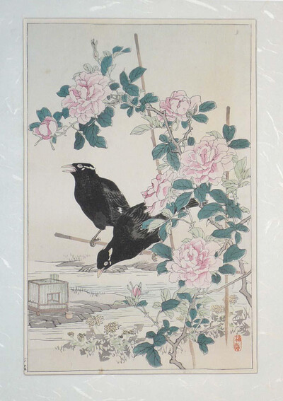 P1130548